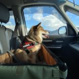 Fylina 足洗いカップ ペット 足 クリーナー口コミ 感想 犬の散歩後の足洗を楽にすることはできるのか あずはな Fylina 足洗いカップ ペット 足 クリーナー口コミ 感想 犬の散歩後の足洗を楽にすることはできるのか あずはな
