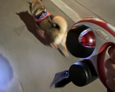 Fylina 足洗いカップ ペット 足 クリーナー口コミ 感想 犬の散歩後の足洗を楽にすることはできるのか あずはな Fylina 足洗いカップ ペット 足 クリーナー口コミ 感想 犬の散歩後の足洗を楽にすることはできるのか あずはな