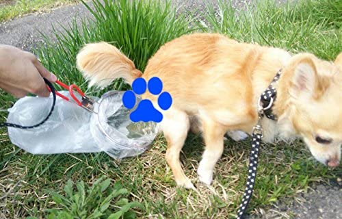 保存版 犬の散歩でのうんちの取り方 あずはな