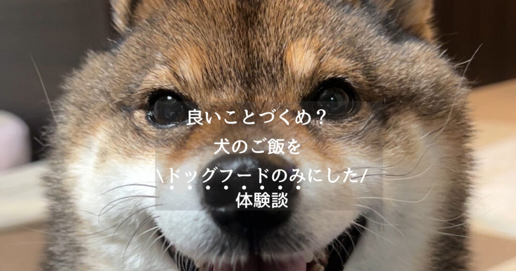 対策 犬が壁を噛じる理由と防止について 体験談 あずはな