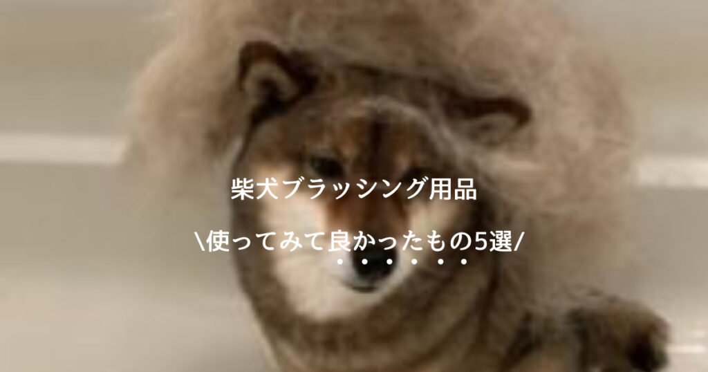 柴犬の換毛期 22年おすすめのブラシやグッズを紹介 あずはな