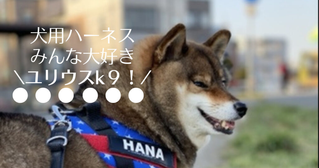 柴犬に人気！ユリウスK9はおすすめ？サイズは？使ってみた口コミ・感想。 | あずはな