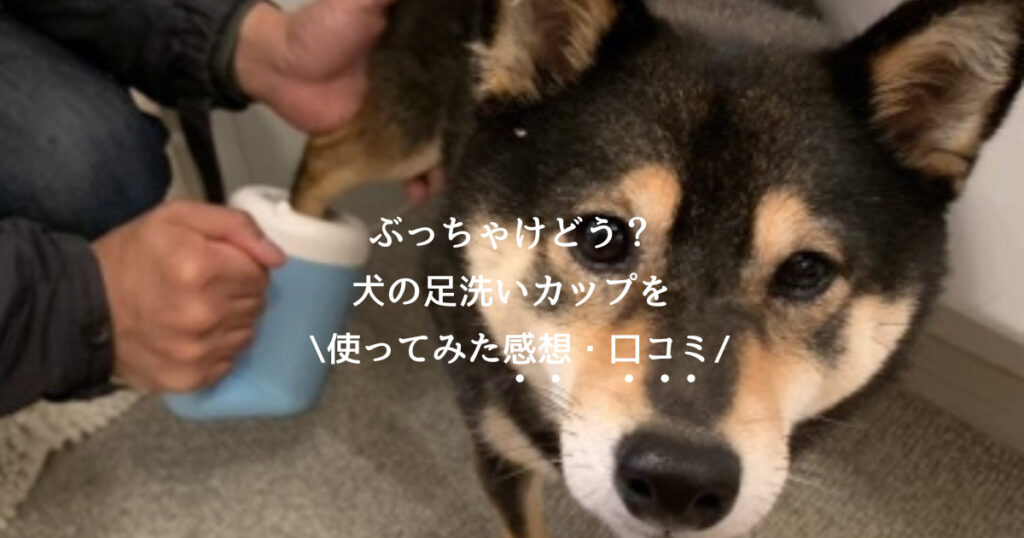 犬の足洗いカップを使った口コミ 感想 散歩後の足洗を楽にすることはできるのか あずはな