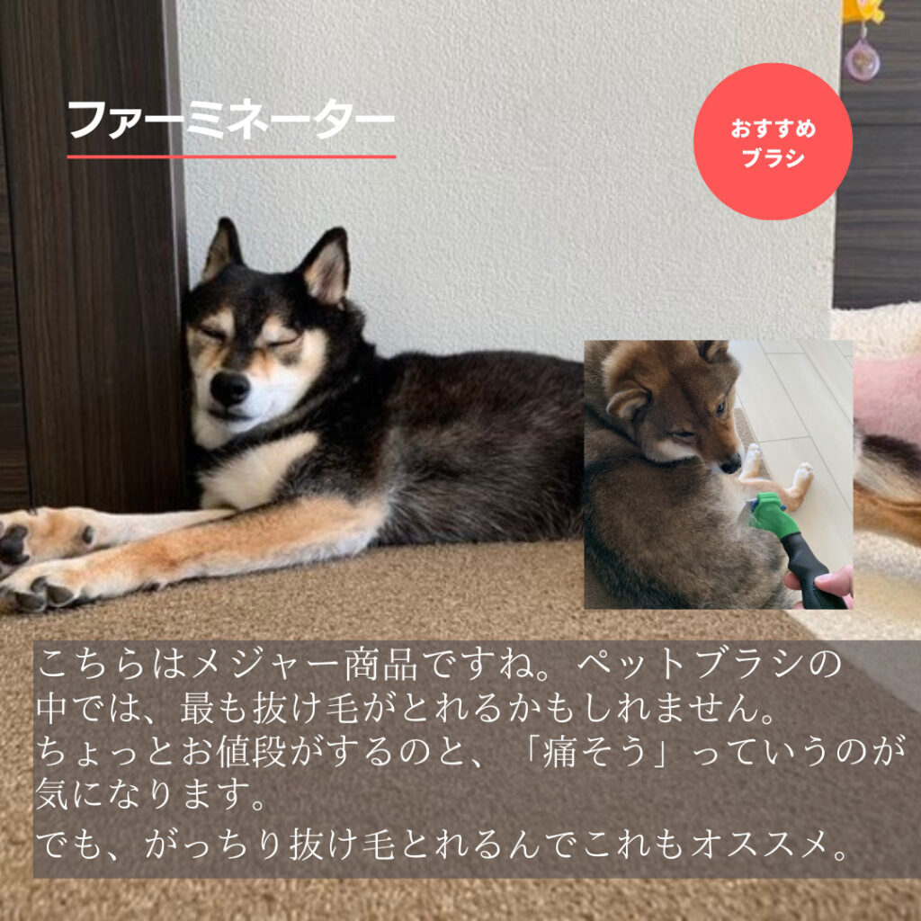 柴犬の換毛期 22年おすすめのブラシやグッズを紹介 あずはな